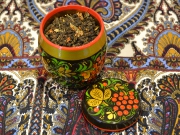 Иван-чай со зверобоем скрученный воротынский